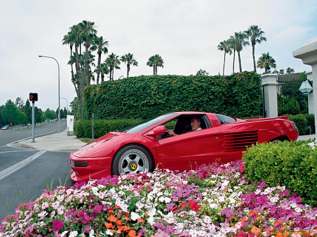 cizeta, v16, 